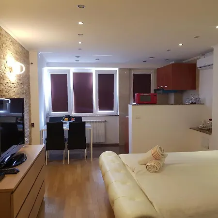 Apartment Studio Ritmului *